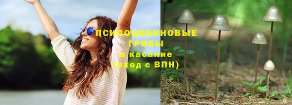 хмурый Михайлов