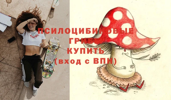 хмурый Михайлов