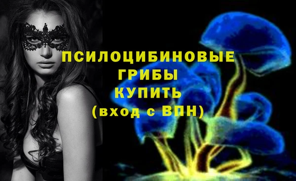 хмурый Михайлов