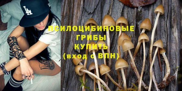 хмурый Михайлов