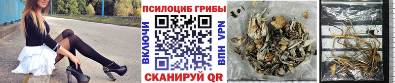 где купить наркоту Нариманов мега ONION Псилоцибиновые грибы Cubensis